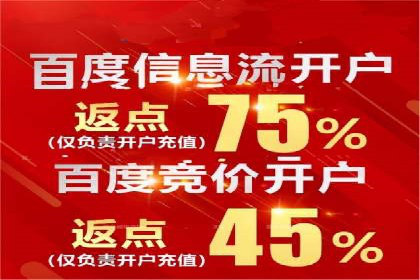 百度竞价推广运营策略调整：企业增长的新动力